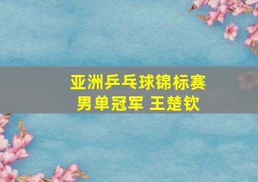 亚洲乒乓球锦标赛男单冠军 王楚钦